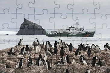 Fotos diversas jigsaw puzzle