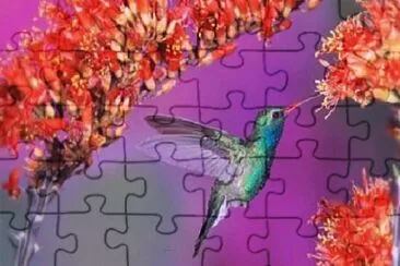 Foto jigsaw puzzle