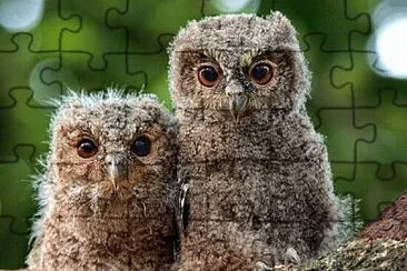 Foto jigsaw puzzle