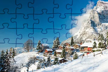 Fotos diversas jigsaw puzzle