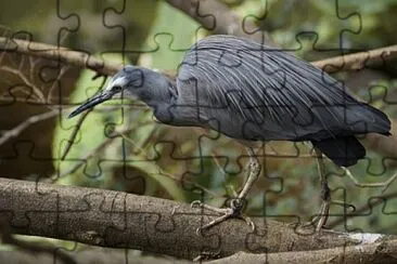 Foto jigsaw puzzle