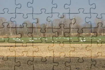 La Sauge jigsaw puzzle