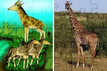 evolución, taxonomia.