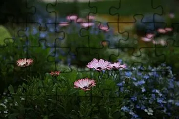 Foto jigsaw puzzle