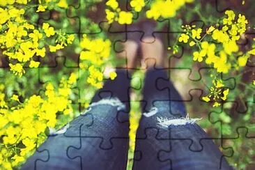 Foto jigsaw puzzle