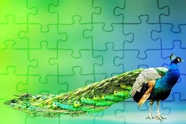 Toy jigsaw puzzle