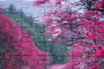 paisaje jigsaw puzzle