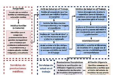 Proceso de determinación del estado de invalidez jigsaw puzzle