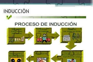 Proceso de Inducción