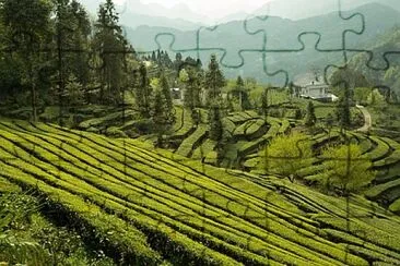 Foto jigsaw puzzle