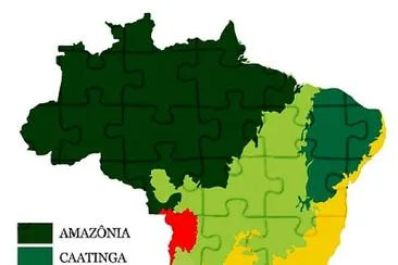 BRASIL jigsaw puzzle