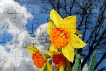 Foto jigsaw puzzle