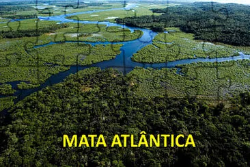 Mata Atlântica