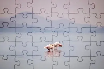 a jigsaw puzzle