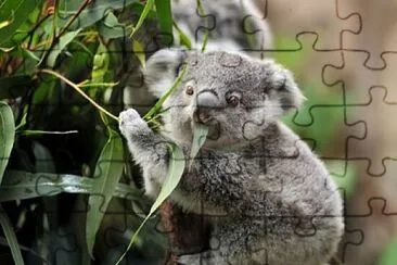 Arma el rompecabezas y descubre la imagen. jigsaw puzzle