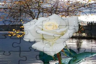 flores jigsaw puzzle