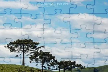 imagem jigsaw puzzle