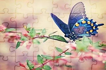 mariposa 1 jigsaw puzzle