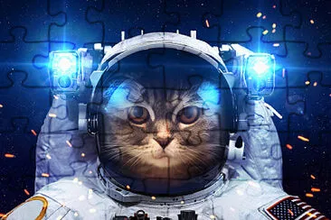 gato astronauta