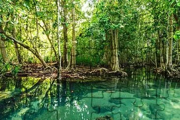 MANGLAR jigsaw puzzle