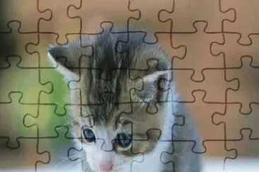 ¿Pero porque me regañas? jigsaw puzzle