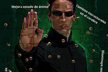 פאזל של Salvemos la Matrix