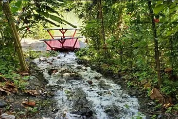 Cascada, Jardín Botánico, Universidad de Puerto Ri