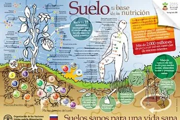 פאזל של El suelo y su conservación