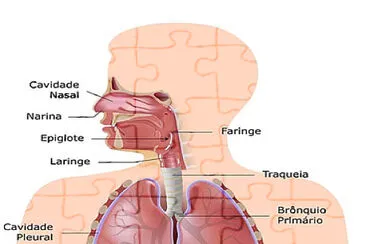 SISTEMA RESPIRATÓRIO 8B