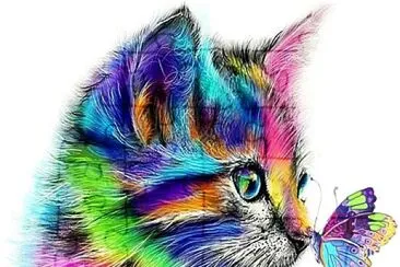 Colorful Kitty