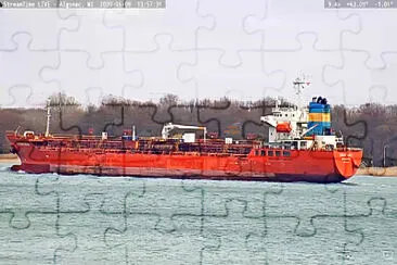 m/t Ebony Ray jigsaw puzzle