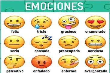 Las emociones