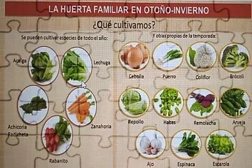 ¿Qué plantamos?