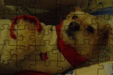 HIJOS MASCOTA Y YO jigsaw puzzle