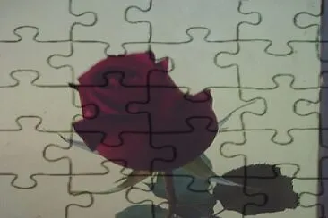 rosa jigsaw puzzle