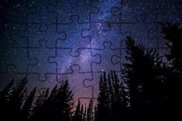 Night Sky Forest jigsaw puzzle