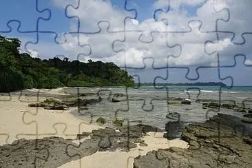 B017 jigsaw puzzle