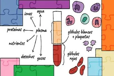 פאזל של Células en la sangre