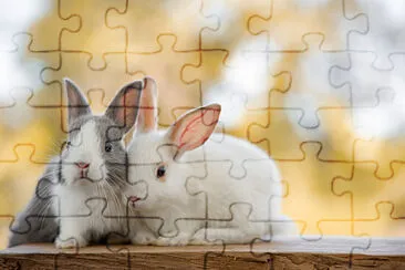 coelhinho jigsaw puzzle