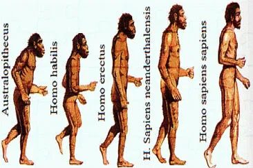 ORIGEN DEL SER HUMANO