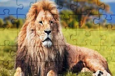 Leão jigsaw puzzle