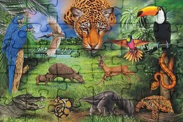 Animais jigsaw puzzle