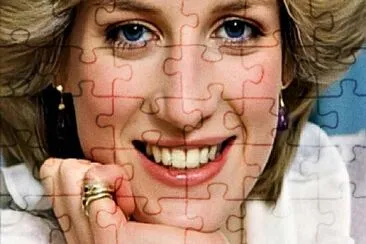  jigsaw puzzle