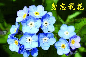 花賞