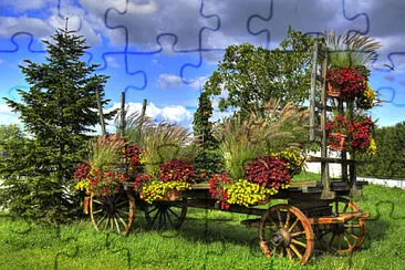 Petunias - Francia jigsaw puzzle