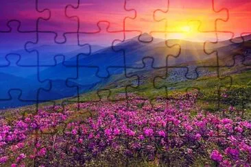 Fleurs en montagne jigsaw puzzle