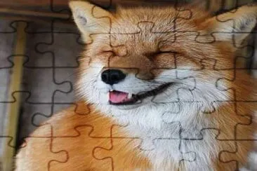 ANIMAL DA HIST. O CASO DO BOLINHO jigsaw puzzle