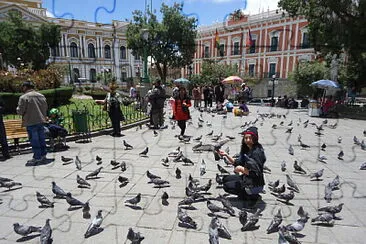 plaza de armas la paz b0livia