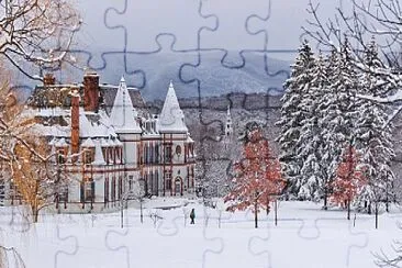 PAL426 jigsaw puzzle