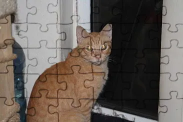 Sam jigsaw puzzle